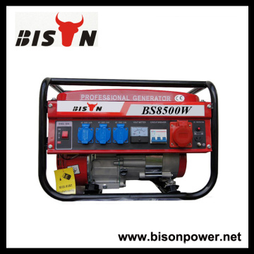 BISON (CHINE) Promotion! Groupe électrogène SWISS KRAFT 8500W à vendre